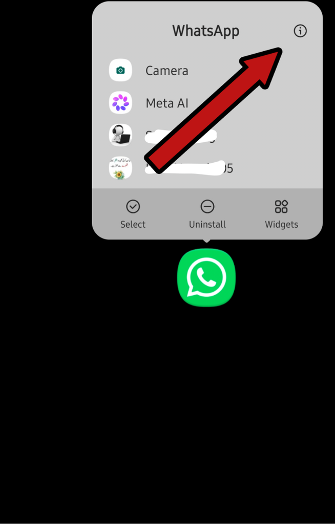 Tap App Info icon on WhatsApp
